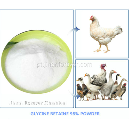 Preços competitivos Feed Grade HCL Glycine Betaine